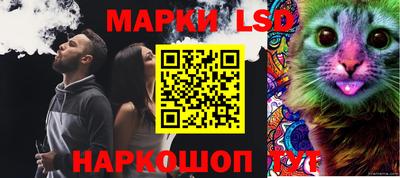 стафф Можга