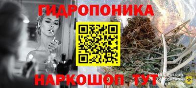 СК Моздок