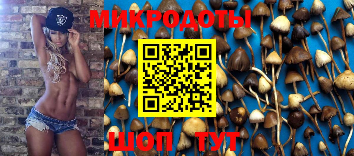 Галлюциногенные грибы Magic Shrooms  Псилоцибиновые грибы ЛСД  Вход с VPN  Урюпинск 